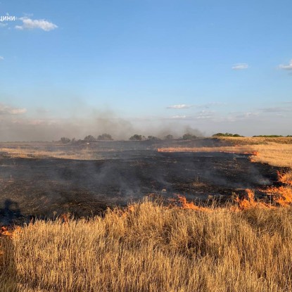 Пожар в Николаевской области 17-18 августа. Фото: ГСЧС Николаевской области