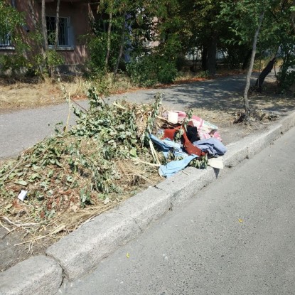 Сміттєзвалище по вулиці Південна, 76. Фото: Дмитро Барнабас 