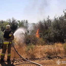 Пожежі на Миколаївщині 18-19 серпня, фото: ДСНС Миколаївської області