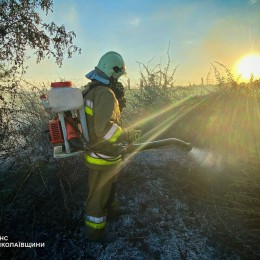 Пожары в Николаевской области 18-19 августа, фото: ГСЧС Николаевской области