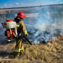 Пожежі на Миколаївщині 18-19 серпня, фото: ДСНС Миколаївської області