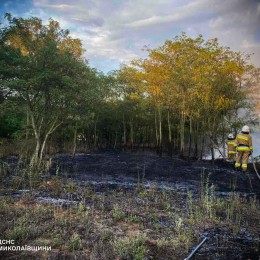 Пожежі на Миколаївщині 18-19 серпня, фото: ДСНС Миколаївської області