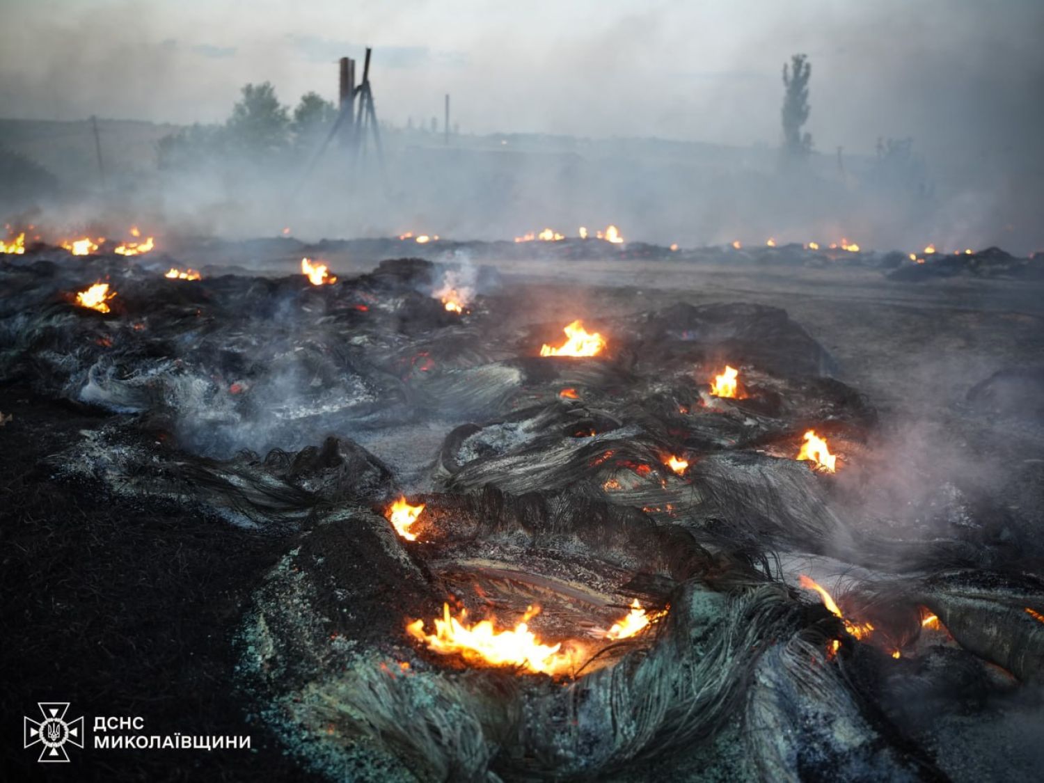 Пожежа у Веснянській громаді. Фото: ДСНС