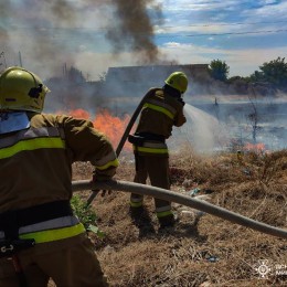 Пожежа у Миколаївській області 1-2 серпня / Фото: ДСНС