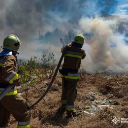 Пожежа у Миколаївській області 1-2 серпня / Фото: ДСНС