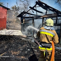 Пожар в Николаевской области 1-2 августа / Фото: ГСЧС