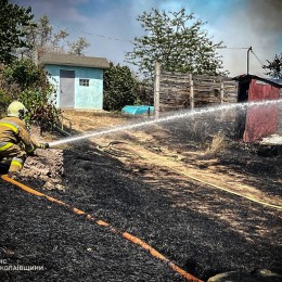 Пожежа у Миколаївській області 1-2 серпня / Фото: ДСНС