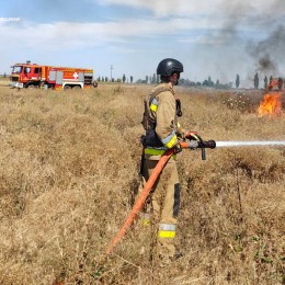 Пожежа у Миколаївській області 19 серпня, фото: ДСНС Миколаївщини