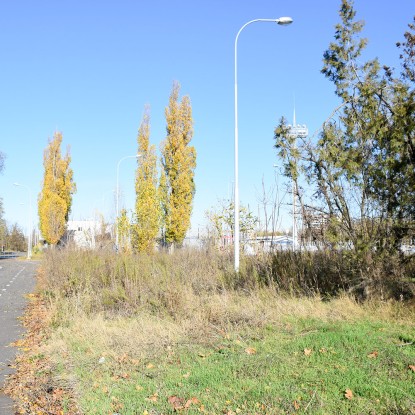 The territory near the stadium in Peremoga Park, which has been under the care of the KP «Parks» for a year, December 2021, photo «Nikvesti"