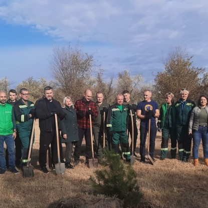 Planting of young pine seedlings in Peremogy Park, October 2023, photo: State Environmental Inspection of the South-West District