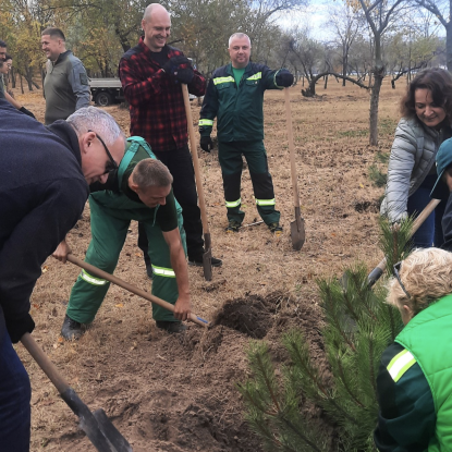 Planting of young pine seedlings in Peremogy Park, October 2023, photo: State Environmental Inspection of the South-West District