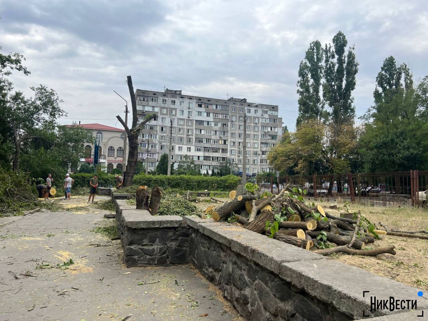 Знесення дерев біля обласної лікарні в Миколаєві, фото: «НикВести»