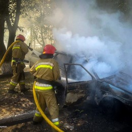 Николаевские пожарные потушили 35 пожаров в сутки: два парка пострадали от огня. Фото: ГСЧС в Николаевской области