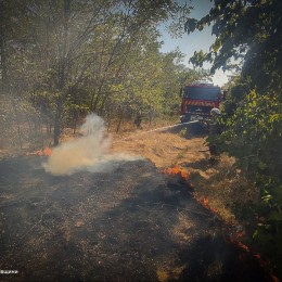 Николаевские пожарные потушили 35 пожаров в сутки: два парка пострадали от огня. Фото: ГСЧС в Николаевской области