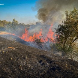 Миколаївські вогнеборці загасили 35 пожеж за добу: два парки постраждали від вогню. Фото: ДСНС у Миколаївській області