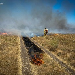 Миколаївські вогнеборці загасили 35 пожеж за добу: два парки постраждали від вогню. Фото: ДСНС у Миколаївській області