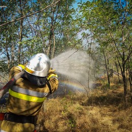 Миколаївські вогнеборці загасили 35 пожеж за добу: два парки постраждали від вогню. Фото: ДСНС у Миколаївській області