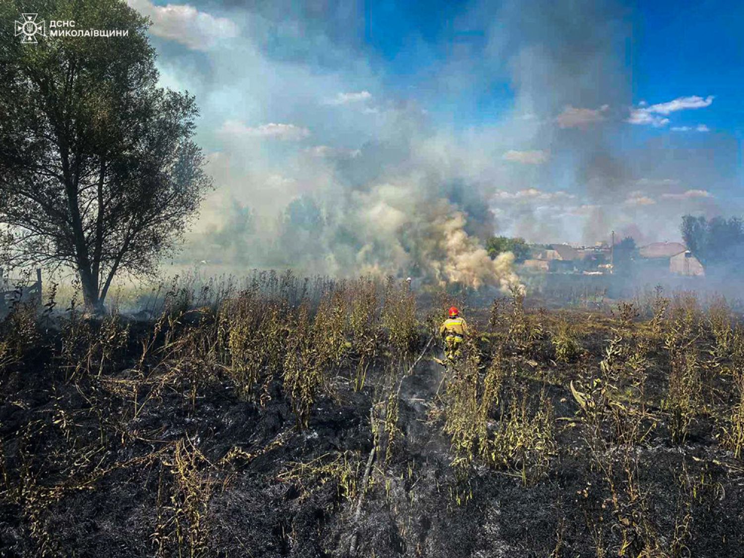 Пожежі у Миколаївській області 25-26 серпня. Фото: ДСНС Миколаївщини