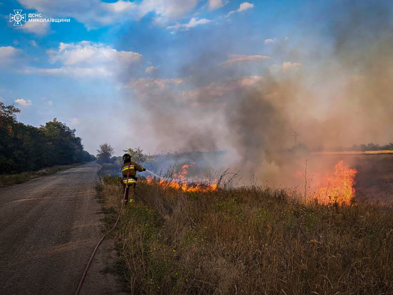 Пожежі у Миколаївській області 26-27 серпня. Фото: ДСНС Миколаївщини