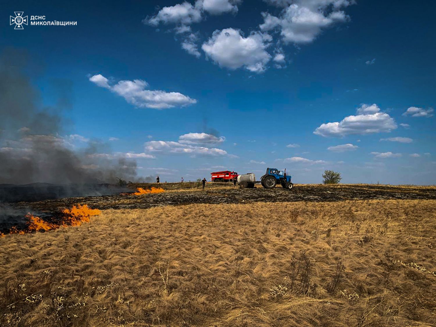 Пожар в Николаевской области 26-27 августа. Фото: ГСЧС Николаевской области