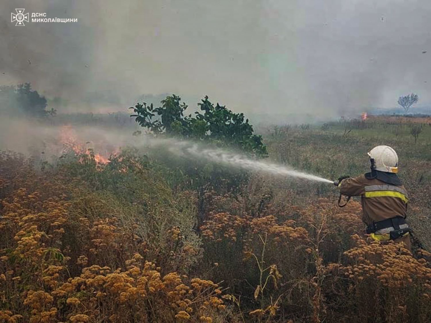 Пожежі у Миколаївській області 27-28 серпня. Фото: ДСНС Миколаївщини