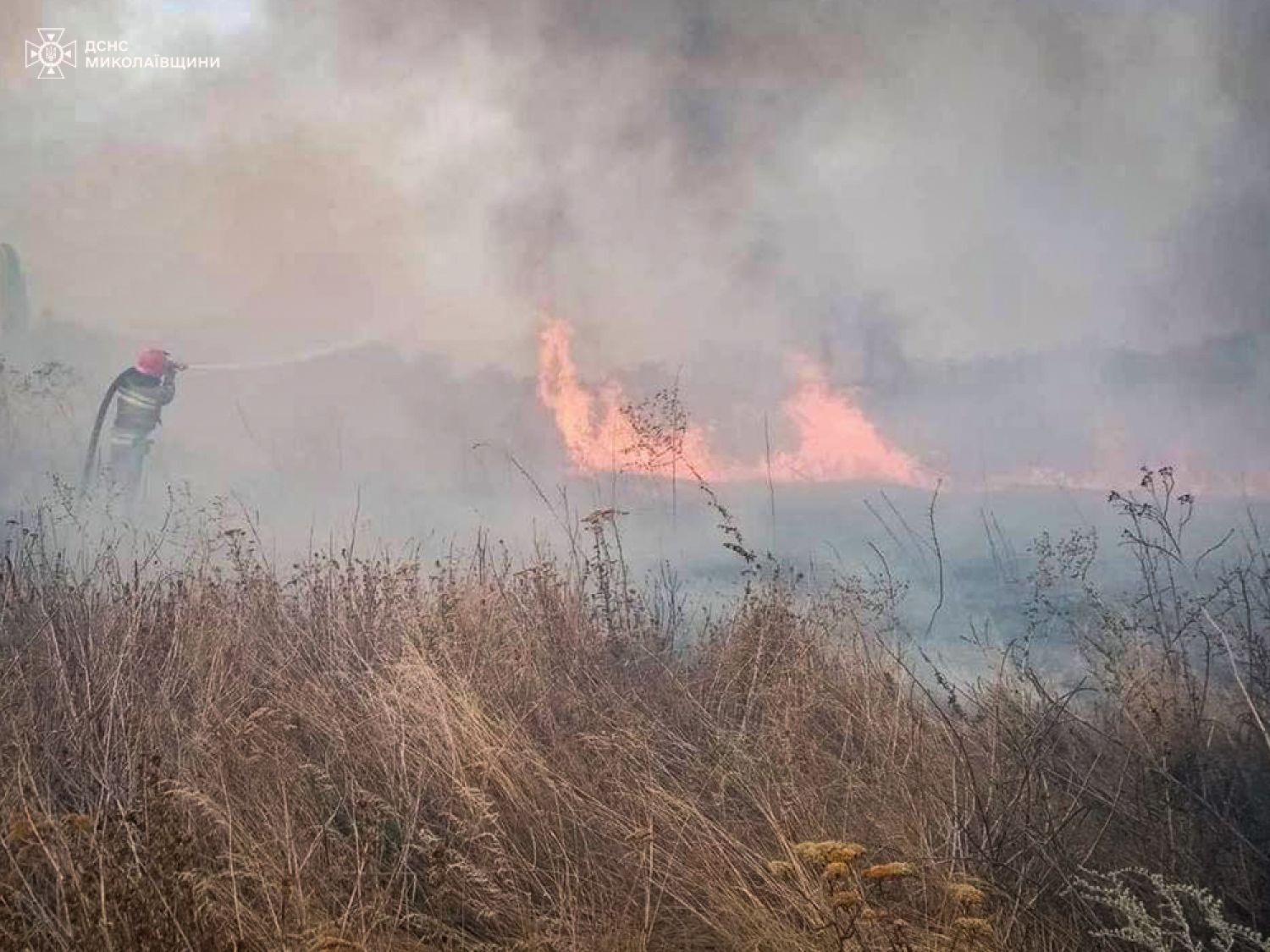 Пожар в Николаевской области 27-28 августа. Фото: ГСЧС Николаевской области