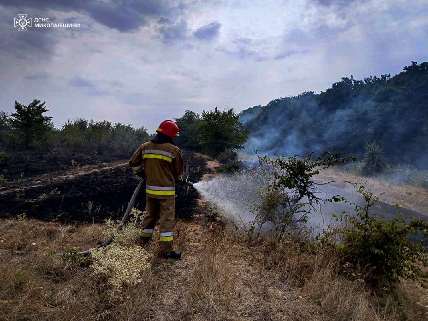 Пожар в Николаевской области 27-28 августа. Фото: ГСЧС Николаевской области