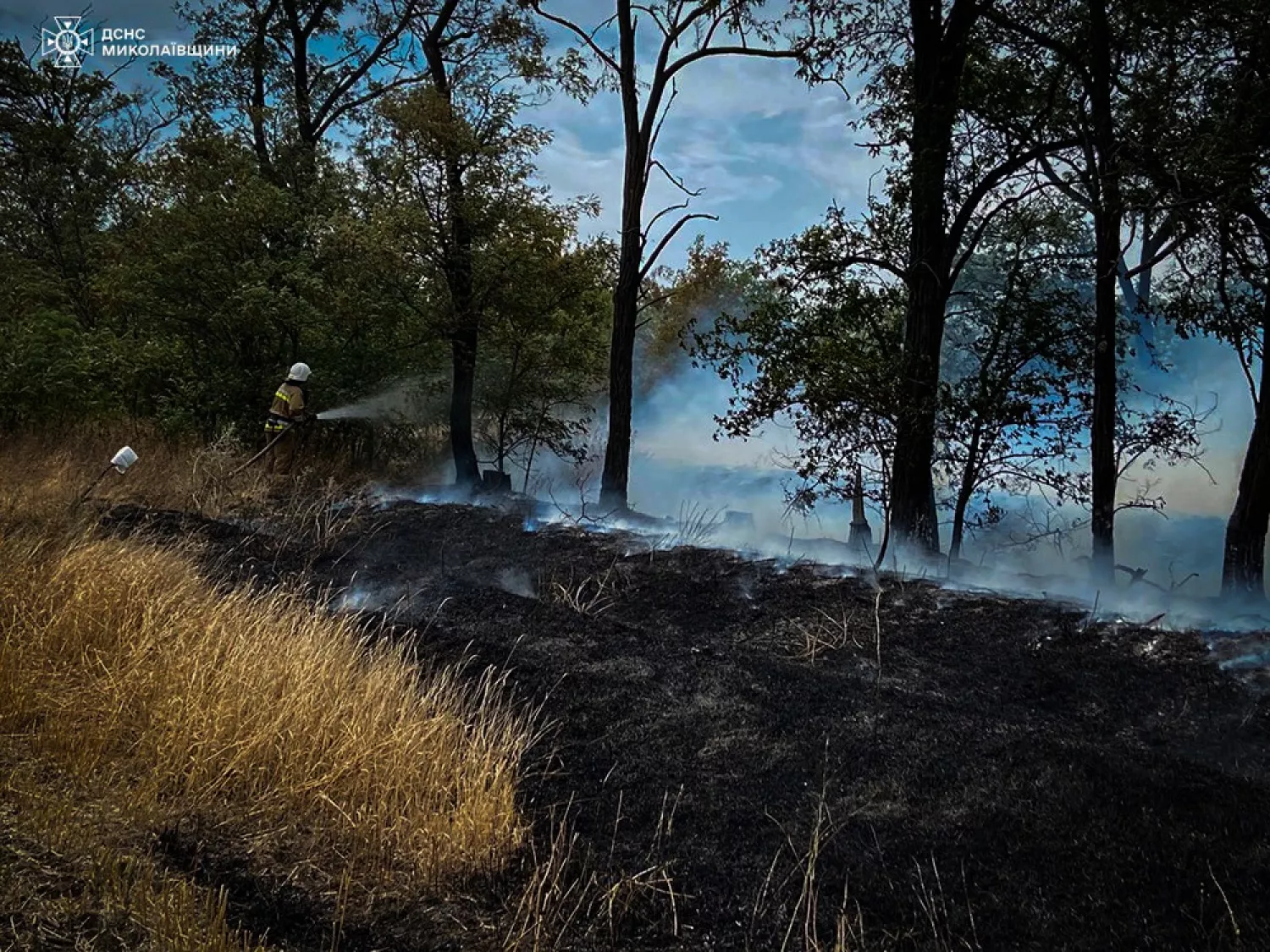 Пожар в Николаевской области 28 августа. Фото: ГСЧС Николаевской области