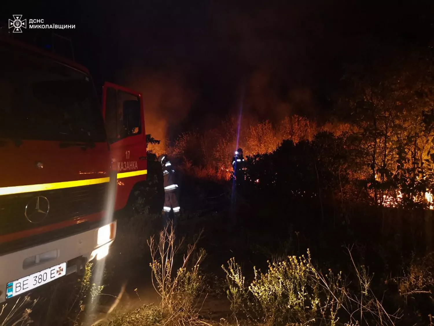 Пожар в Николаевской области 29 августа. Фото: ГСЧС Николаевской области