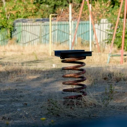 A neglected site at General Almazov, 62, August 2024, photo «Nikvesti"