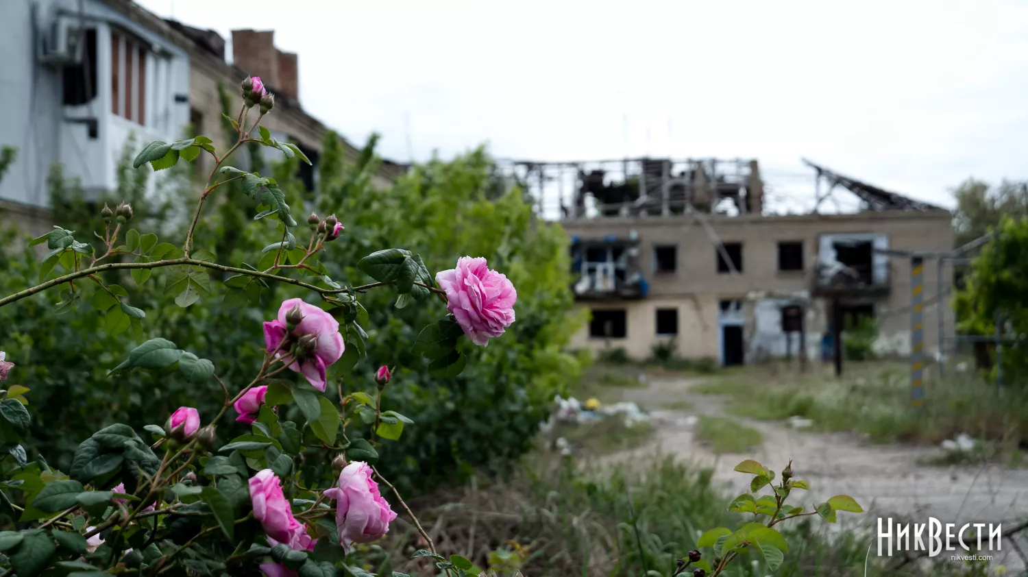 Разрушена двухэтажка в Первомайском. Архивное фото: Сергей Овчаришин, «НикВести»