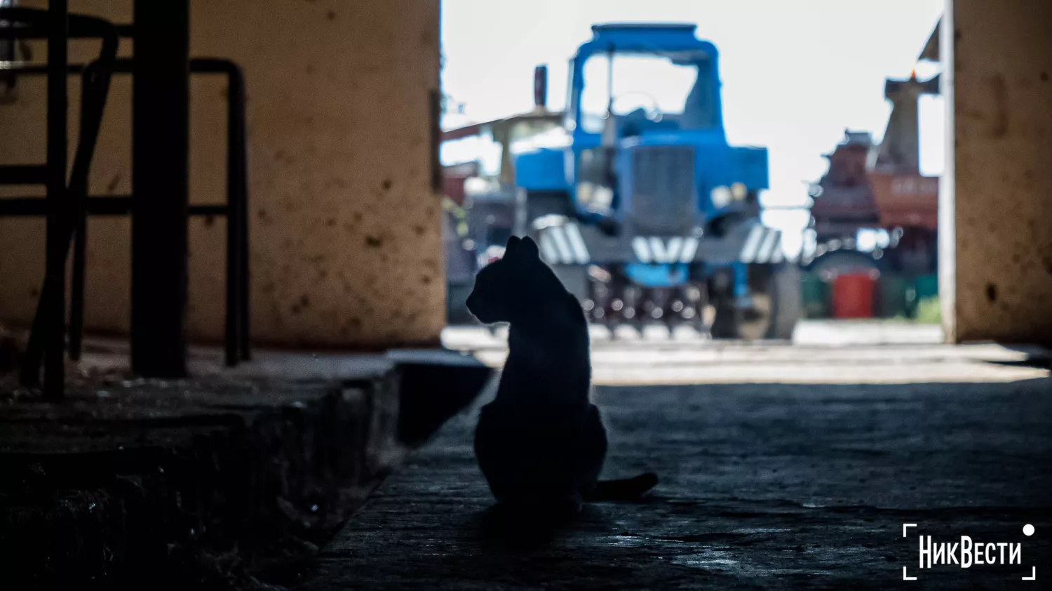 The territory of the farm in the village of Loktsyne. Photo: Serhiy Ovcharyshyn, «NikVesti"