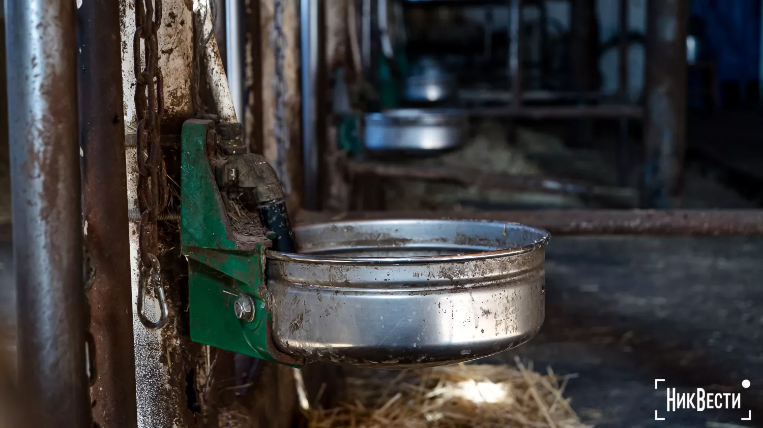 The territory of the farm in the village of Loktsyne. Photo: Serhiy Ovcharyshyn, «NikVesti"