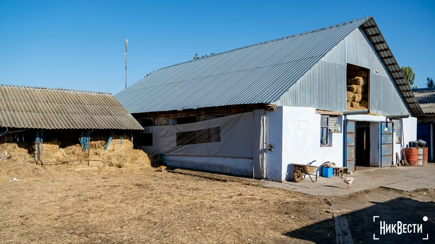 The owner of a farm in the village of Lotskine. Photo: «NikVesti"