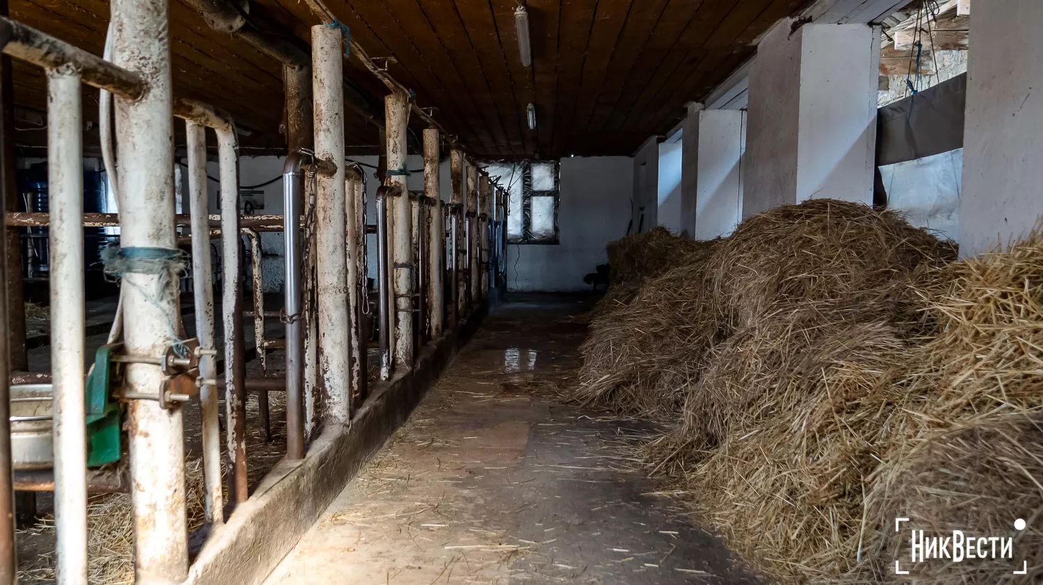 The territory of the farm in the village of Loktsyne. Photo: Serhiy Ovcharyshyn, «NikVesti"