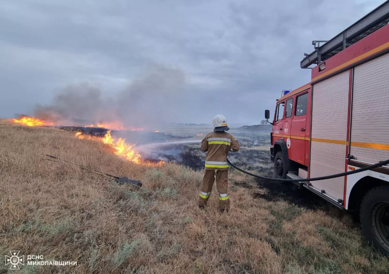 Пожар в Николаевской области 31 августа. Фото: ГСЧС Николаевской области