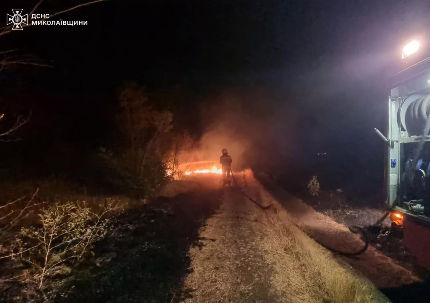 Пожар в Николаевской области 30 августа. Фото: ГСЧС Николаевской области