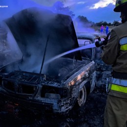 Пожары в Николаевской области 4-5 августа / Фото: ГСЧС Николаевской области