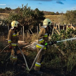 Пожары в Николаевской области 4-5 августа / Фото: ГСЧС Николаевской области