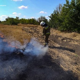 Пожежі в Миколаївській області 4-5 серпня / Фото: ДСНС Миколаївщини