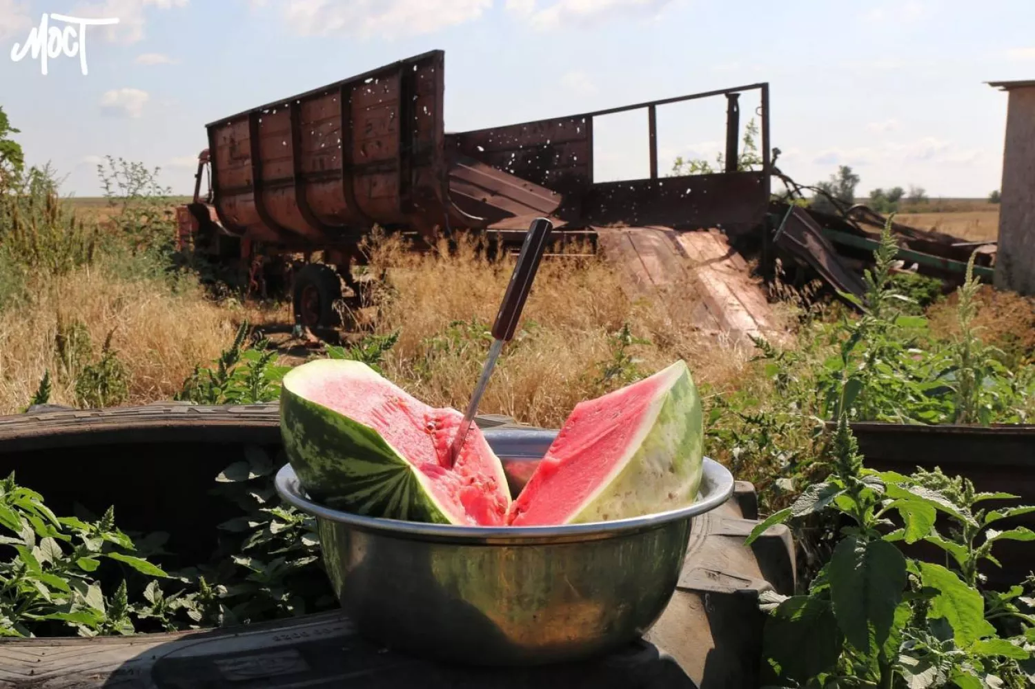 Watermelon in the Kherson region, photo: MOST