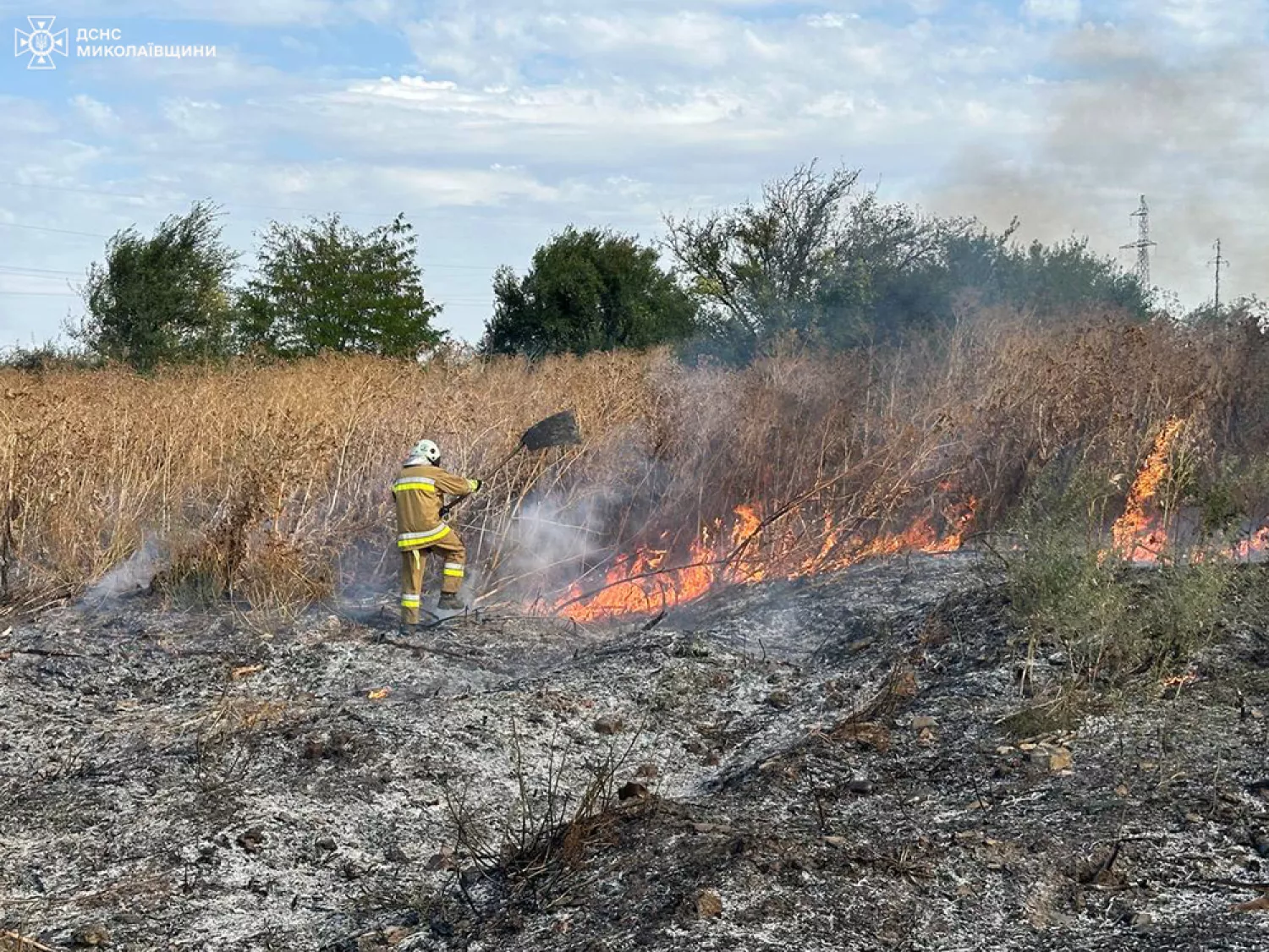 Пожежі у Миколаївській області. Фото: ДСНС Миколаївщини