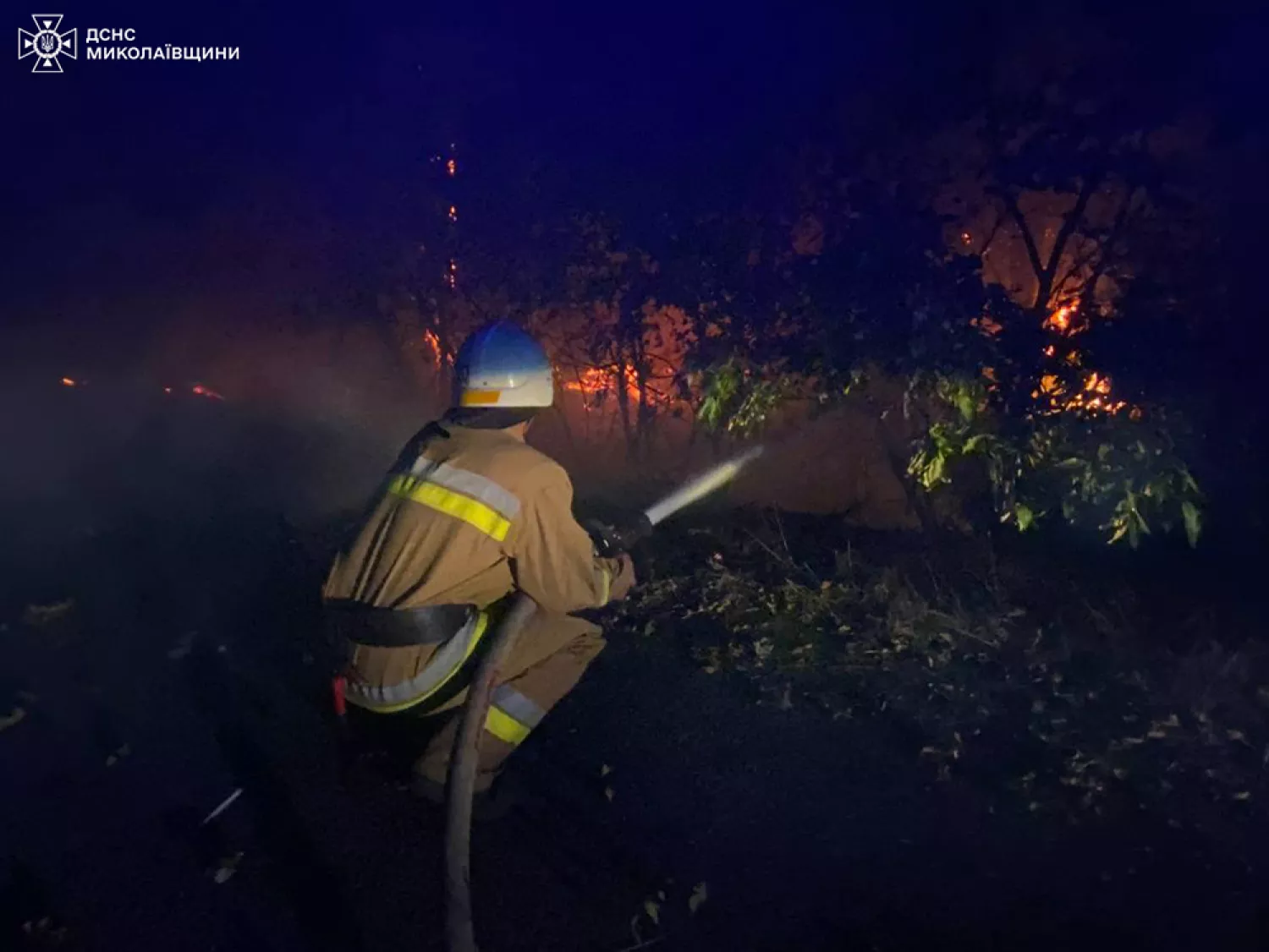 Пожар на Николаевщине 9-10 сентября. Фото: ГСЧС Николаевской области