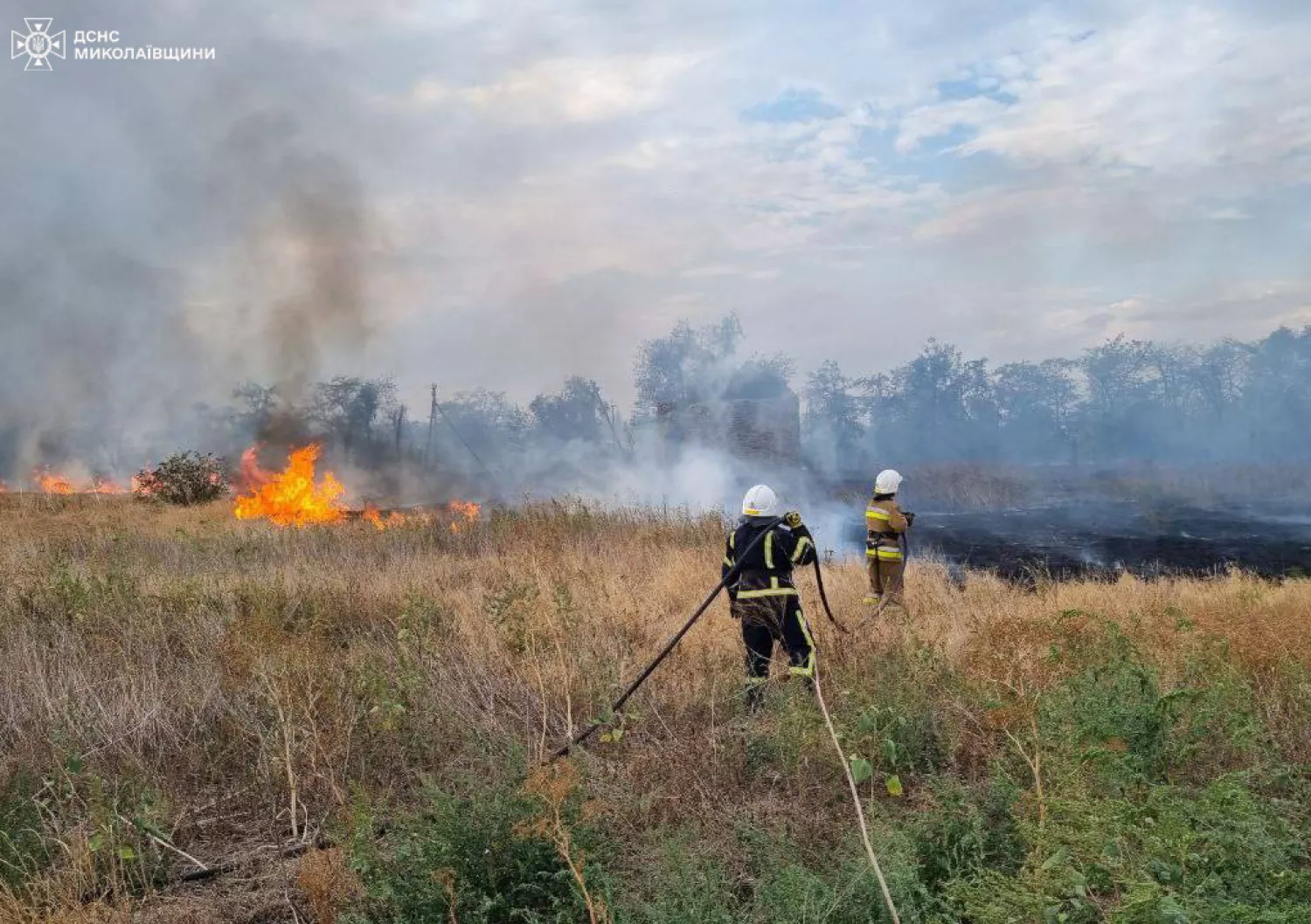 Пожары в Николаевской области. Фото: ГСЧС Николаевской области