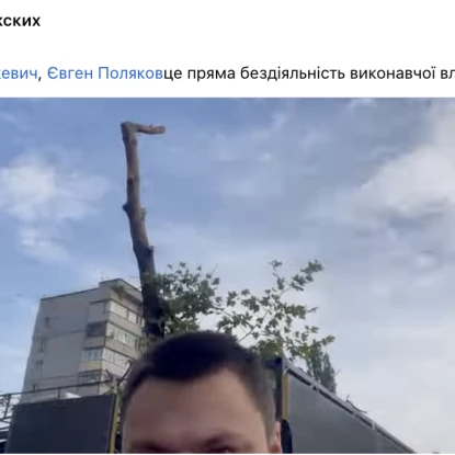 Alla Ryazhskyi's comments under the post of the city council member regarding the felling of trees in the Ingul district of the city. Photo: Screenshot from Facebook/