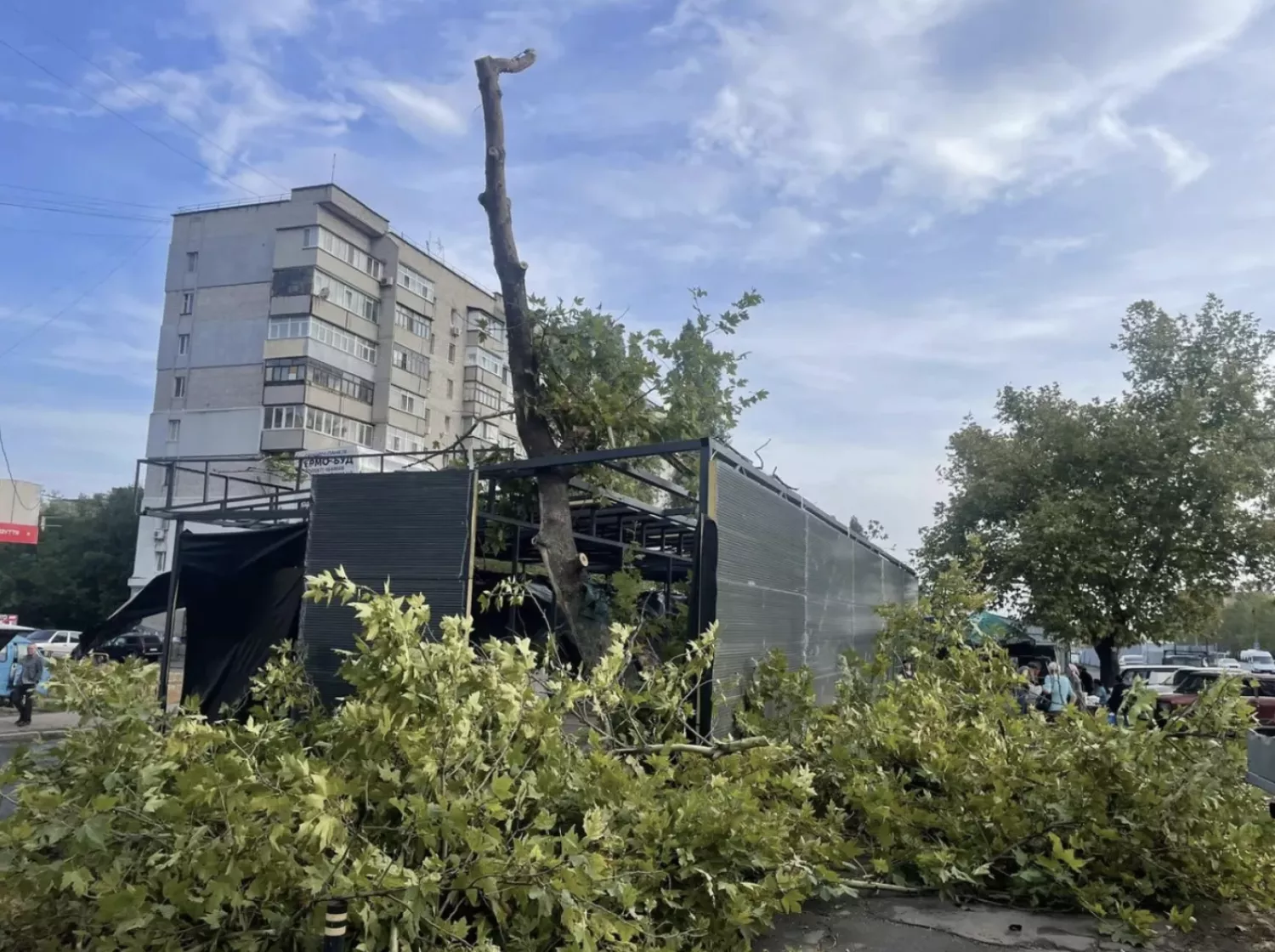 На алеї по вулиці Космонавтів, 142 у Миколаєві спилюють дерева для встановлення кіоску, 12 вересня 2024 року, фото: депутат Максим Коваленко