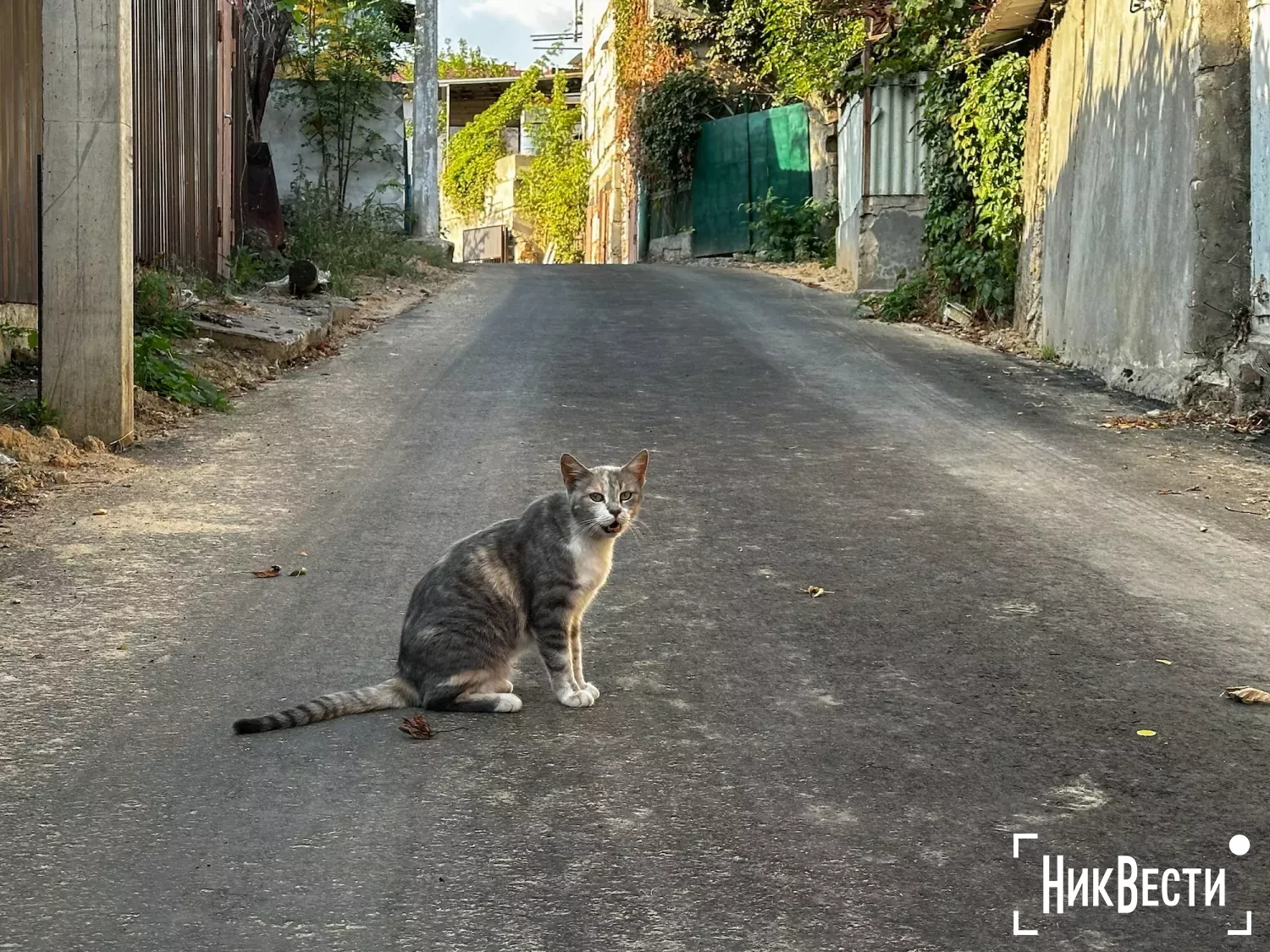 Новая дорога по улице Береговая в Николаеве, фото «НикВести»