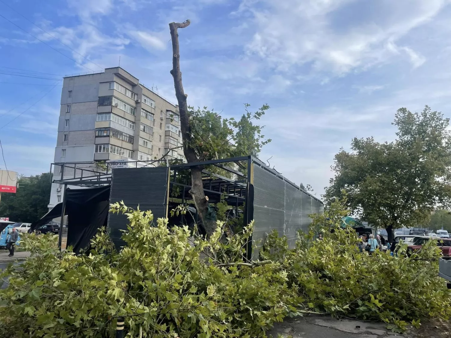 В Николаеве по улице Космонавтов, 142 спиливают деревья. Фото: депутат Максим Коваленко/Facebook