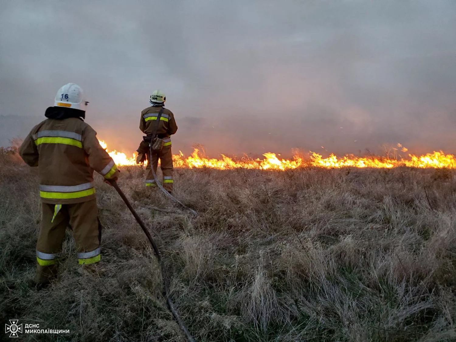 Пожежі у Миколаївській області. Фото: ДСНС Миколаївщини