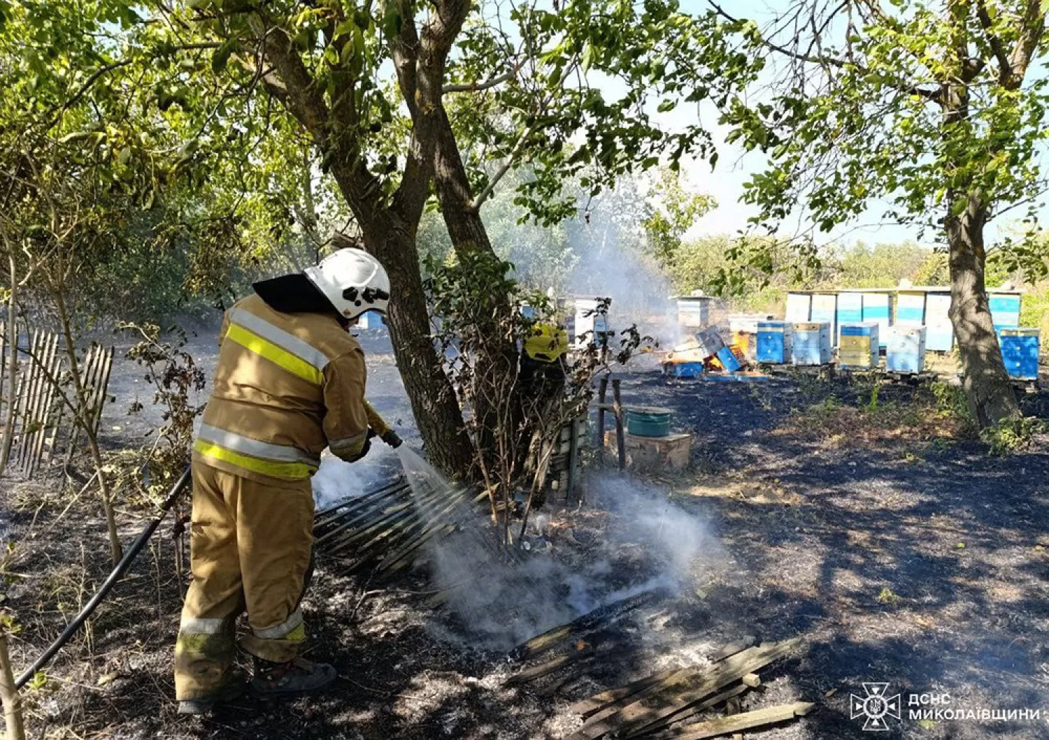 Пожар в Николаевской области. Фото: ГСЧС Николаевской области